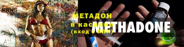 ПСИЛОЦИБИНОВЫЕ ГРИБЫ Дмитриев