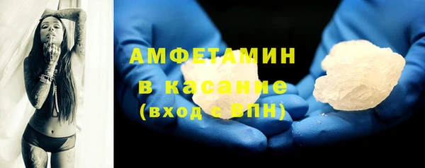 ПСИЛОЦИБИНОВЫЕ ГРИБЫ Дмитриев