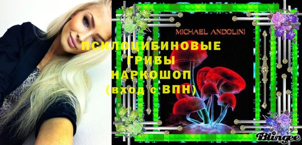 ПСИЛОЦИБИНОВЫЕ ГРИБЫ Дмитриев