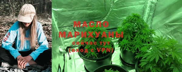 твердый Дмитров
