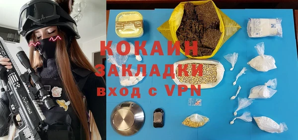 ПСИЛОЦИБИНОВЫЕ ГРИБЫ Дмитриев