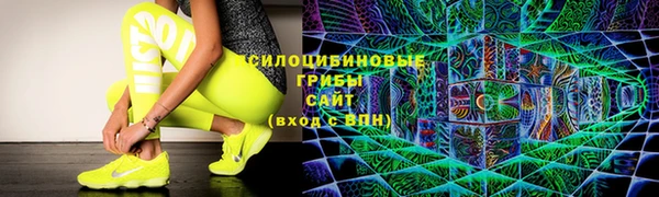 шишки Нея