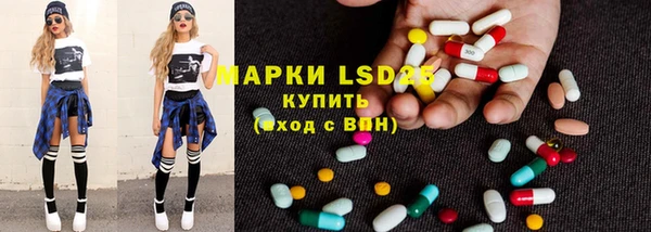 ПСИЛОЦИБИНОВЫЕ ГРИБЫ Дмитриев