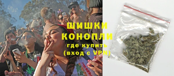 твердый Дмитров