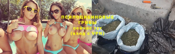 ПСИЛОЦИБИНОВЫЕ ГРИБЫ Дмитриев