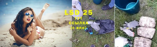 ПСИЛОЦИБИНОВЫЕ ГРИБЫ Дмитриев