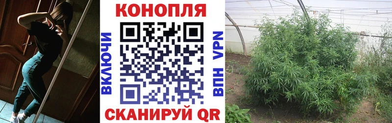 Шишки марихуана THC 21% как найти OMG зеркало Себеж